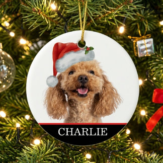Anpassad hundfoto husdjurs julhatt julgransprydnad keramik