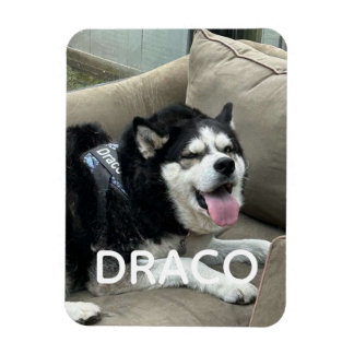 Anpassad hundfoto-magnet med namn - Personlig P Magnet