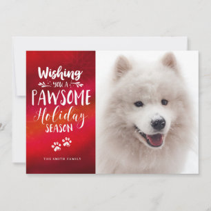 Anpassad Husdjur 2 Foto Pawsome Typografi Högtid Julkort