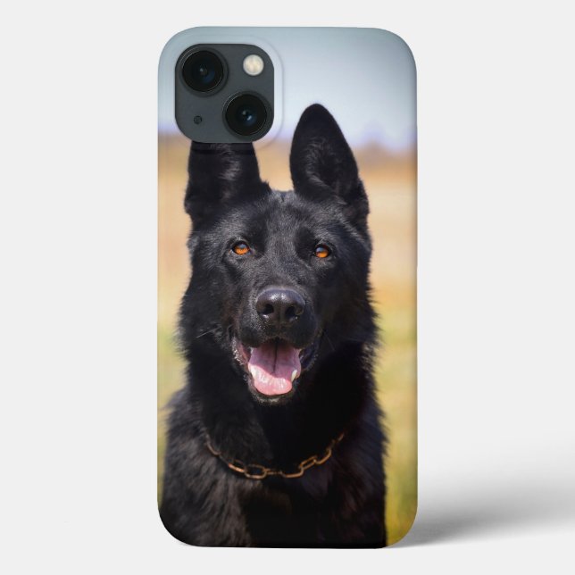 Anpassad husdjurs hund foto tysk schäferhund  (Baksida)