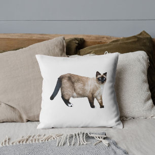 Anpassad husdjursälskare Söt siames Katt Foto Vit Kudde