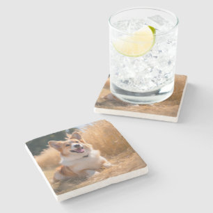 Anpassad husdjursfoto stenunderlägg
