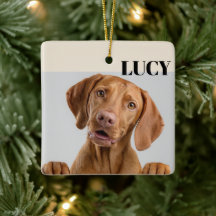 Anpassad julfotoornament hund & namn