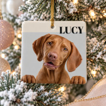 Anpassad julfotoornament hund & namn