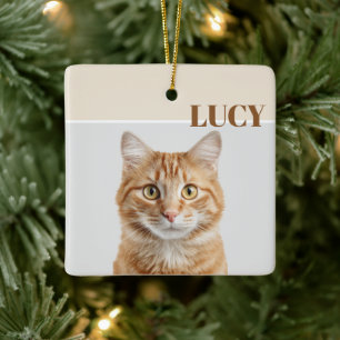 Anpassad julgransprydnad med kattfoto & namn keramik