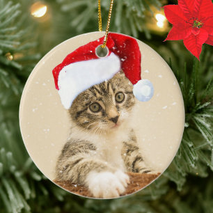 Anpassad julramskatta tabby katt foto julgransprydnad keramik