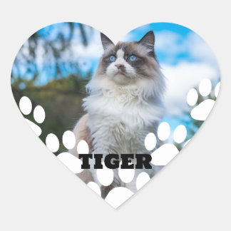 Anpassad Katt Foto Hjärtdekal med Namn Hjärtformat Klistermärke