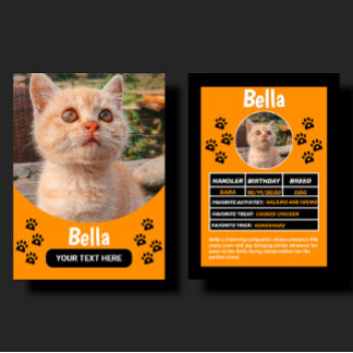 Anpassad kattdjurs födelsedag & present fotohandel