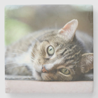 Anpassad kattfoto present till kattälskare stenunderlägg