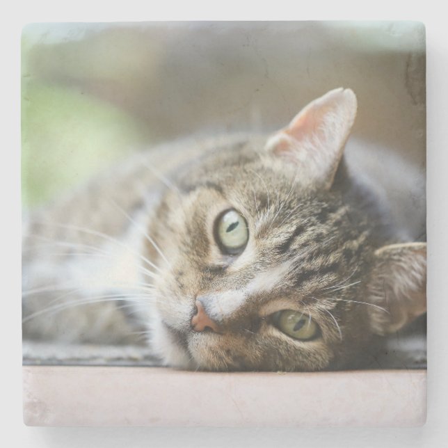 Anpassad kattfoto present till kattälskare stenunderlägg (Framsidan)