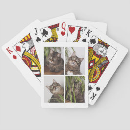Anpassad kattfotocollage casinokort