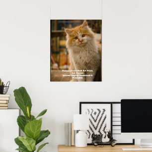 Anpassad kattporträttposter - Digitalt husdjurskon Poster