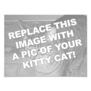 Anpassad Kitty Katt Fototryck