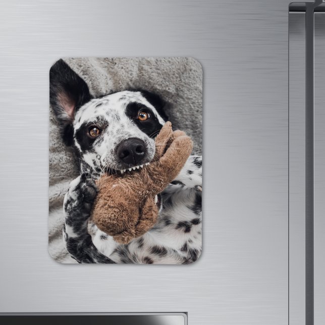 Anpassad kylskåpsmagnet med foto magnet (Skapare uppladdad)