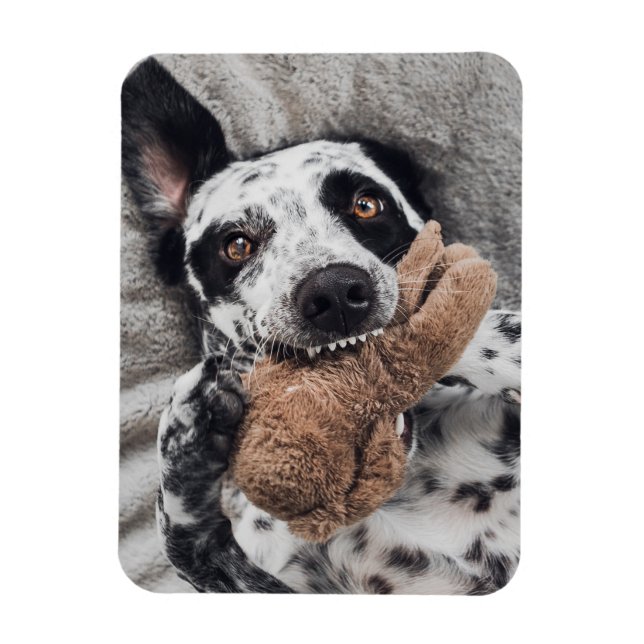 Anpassad kylskåpsmagnet med foto magnet (Vertikal)
