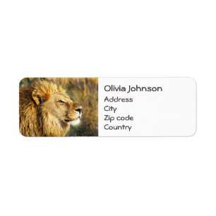Anpassad Lejon Vild Animal Wildlife Safari Returadress Etikett