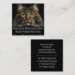 Anpassad Maine Coon Katteri Affärskort Fyrkantigt Visitkort