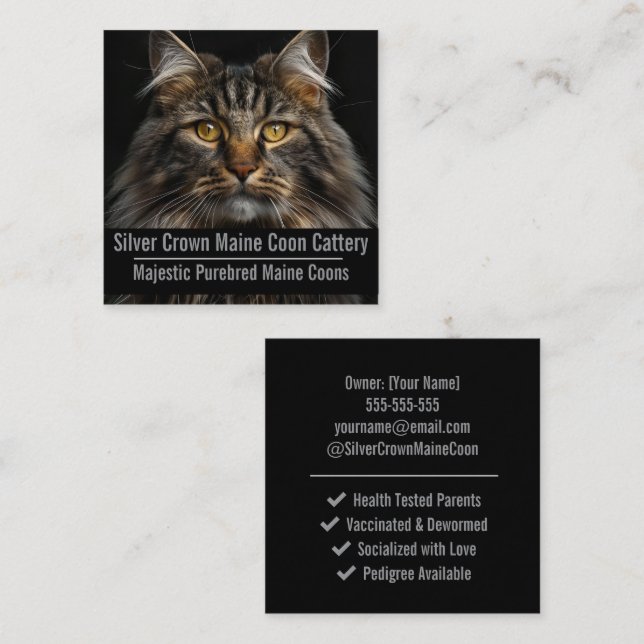 Anpassad Maine Coon Katteri Affärskort  Fyrkantigt Visitkort (Fram/baksida)