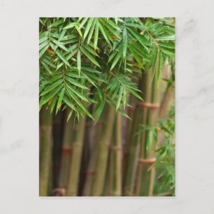 Anpassad mall för naturlig bamboo Zen-bakgrund Vykort