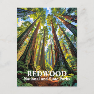 Anpassad målning av träd i Redwood National Park f Vykort