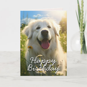 Anpassad Maremma Fårhund Födelsedagskort Tack Kort