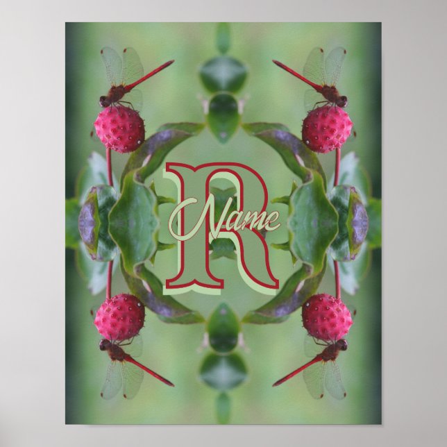 Anpassad monogram med din initiala namn Trollsländ Poster (Framsidan)