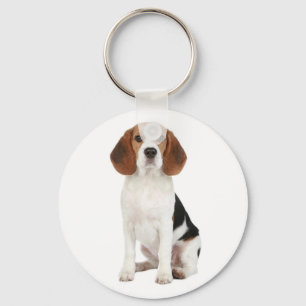 Anpassad Nyckelring för beagle Puppy Hund