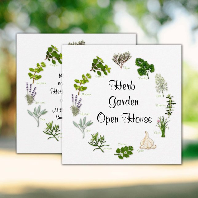 Anpassad örtagårdsinbjudan inbjudningar (Custom Herb Garden Invitation.
Fragrant, flavorful herbs and spices, customize with your text. )