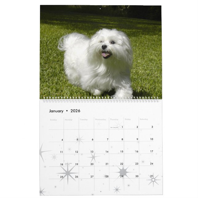 Anpassad Pet-kalender Kalender (Jan 2026)