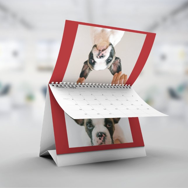 Anpassad röd husdjursfoto  kalender (Skapare uppladdad)