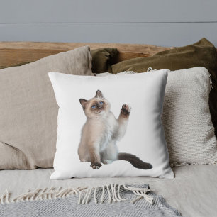 Anpassad Rolig Siamesisk Katt Bild Vit  Kudde