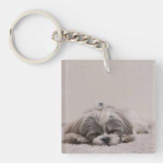 Anpassad Shih TZU-nyckelkedja, Sömpig Hund