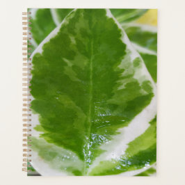 Anpassad standardhårddisk (8,5 x 11 tum)