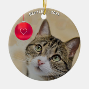 Anpassad Tabby Katt Foto Julgransprydnad Keramik
