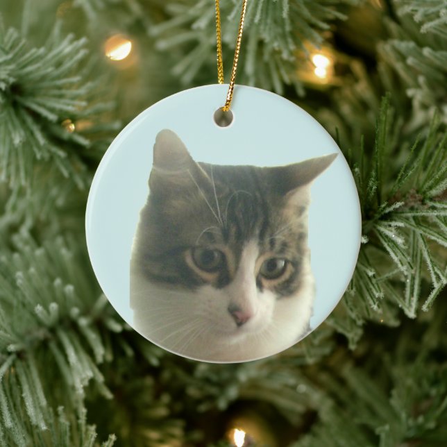 Anpassad Tabby Katt Foto på Ljusblå Julgransprydnad Keramik (Träd)