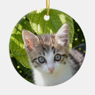 Anpassad Tabby Kattunge Foto Julgransprydnad Keramik