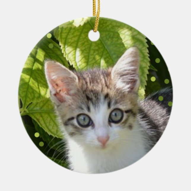 Anpassad Tabby Kattunge Foto Julgransprydnad Keramik (Framsidan)