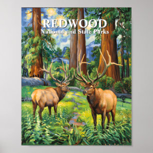 Anpassad text Älg Redwood Kalifornien Skog Van Gog Poster