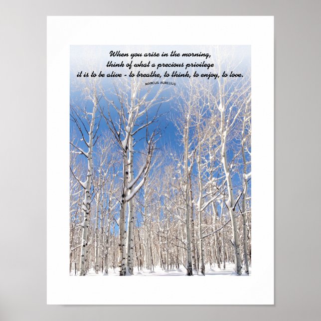 Anpassad Text Blå Himmel Hög Rävbräda I Snö Foto Poster (Framsidan)
