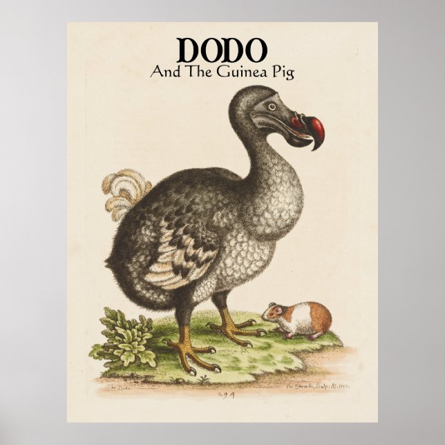 Anpassad titel och underrubrik Dodo och Guinea Gri Poster (Framsidan)