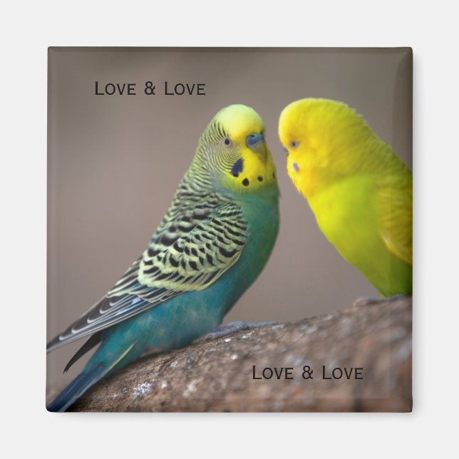 Anpassad två papegoja bild med text Kärleksmagnet Magnet (Framsidan)