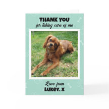 Anpassad veterinärtekniker Sjukvård för husdjur Fo