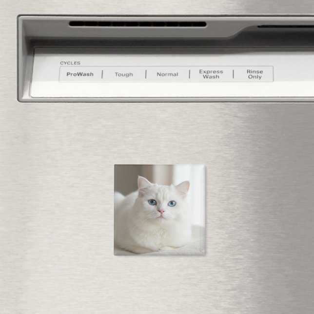 Anpassad vit katt foto magnet för kylskåp (In Situ (Dishwasher))