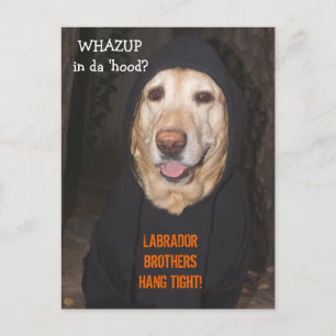 Anpassade 90 lb. Lab i Hoodie Vykort