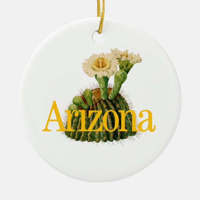 Anpassade Arizona Ornament med Saguaro Cactus (Framsidan)