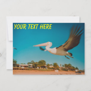 Anpassade Australiens pelican Card