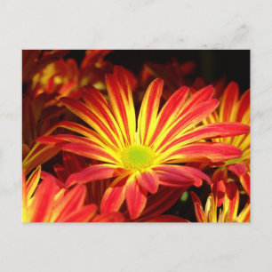 Anpassade av rödblommor och Gult, krysanthemum Vykort