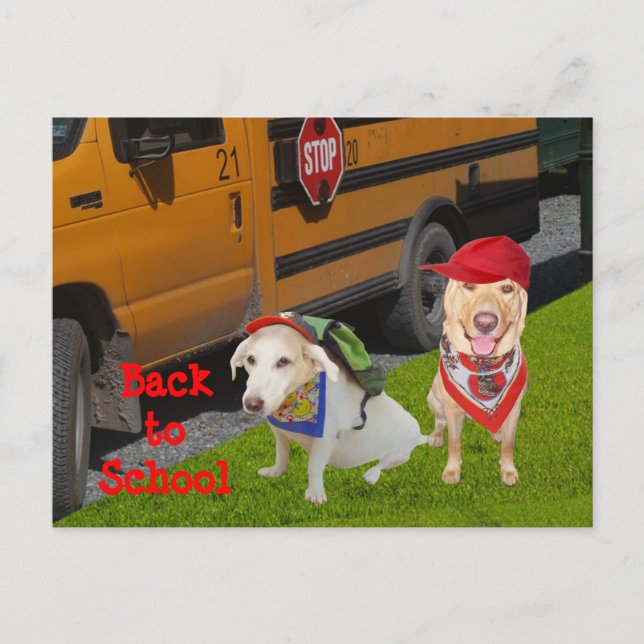 Anpassade Back to school Vykort (Framsida)
