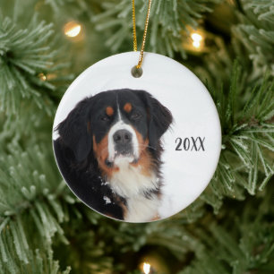 Anpassade Bernese Mountain Hund Julgransprydnad Keramik
