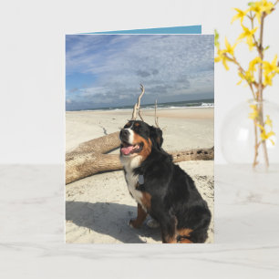 Anpassade Bernese Mountain Hund Kort